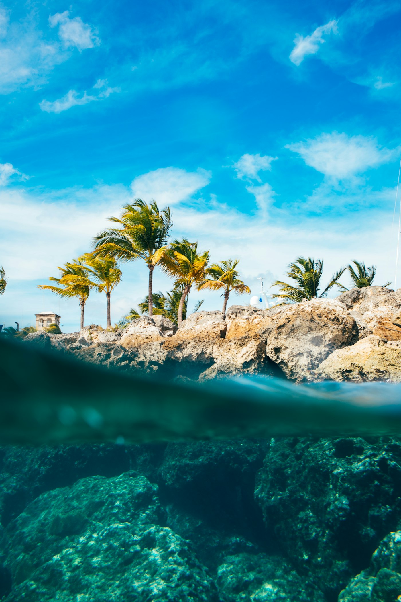 The green coastline of Barbados seen from the water