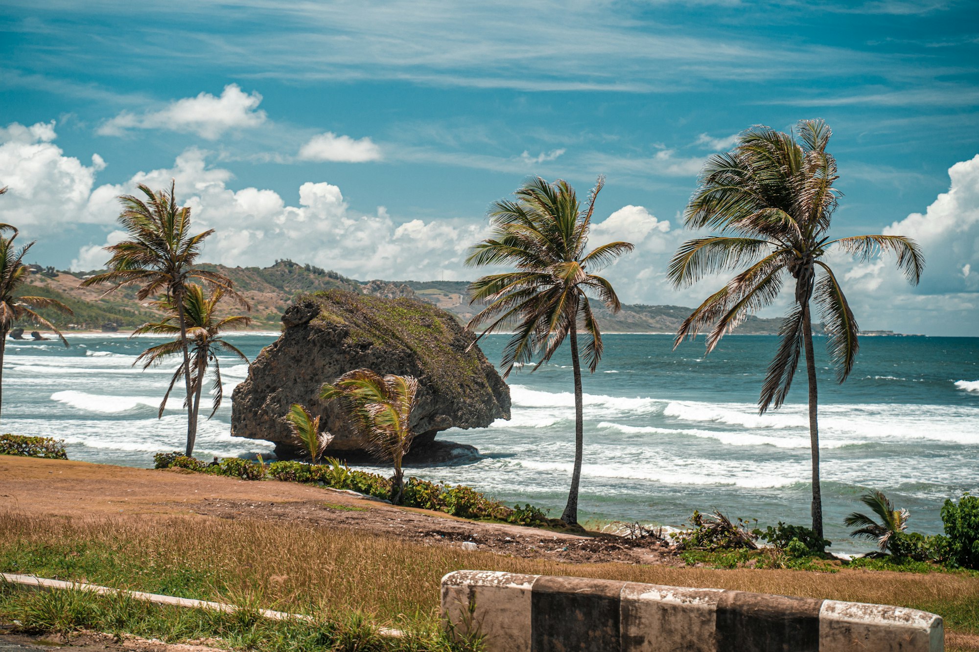 Palm trees lining a turquoise bay on the coast of Barbados