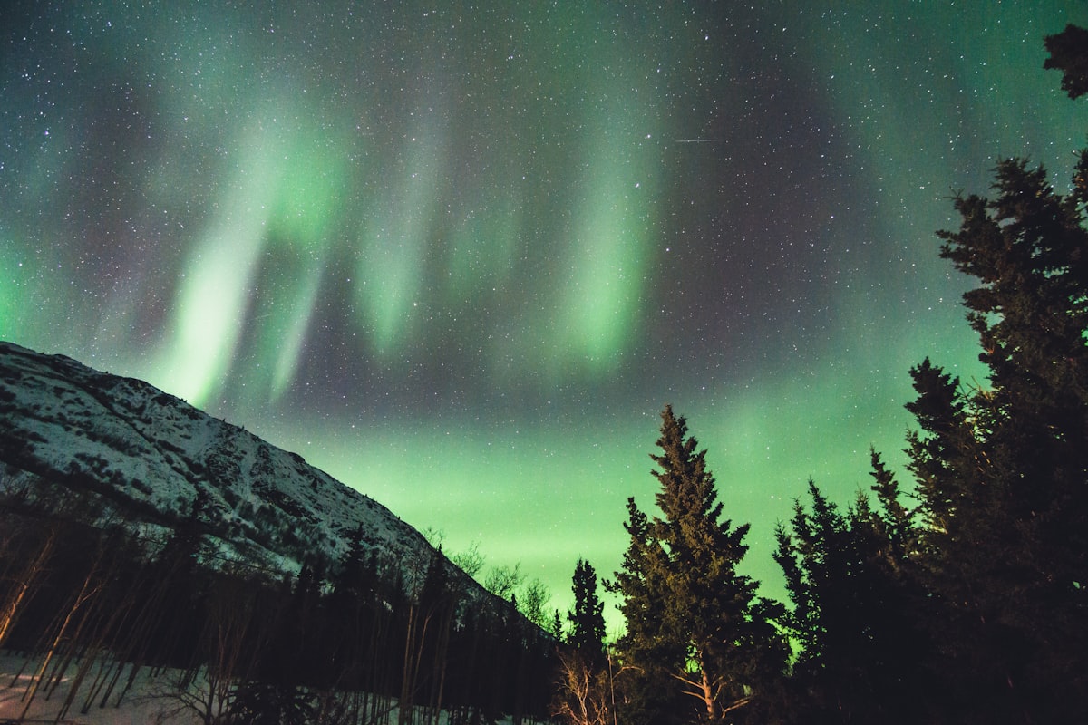 Aurora borealis over the northern forest, Canada