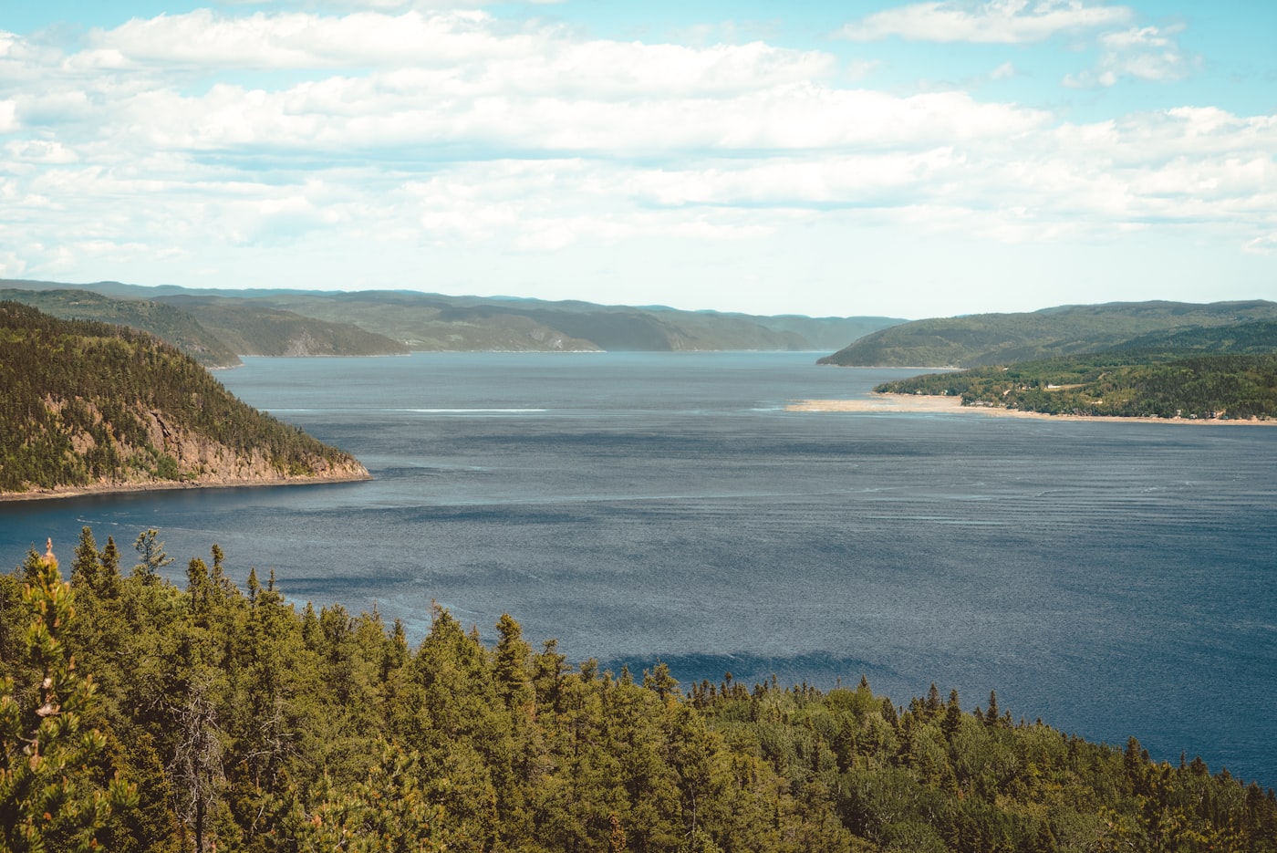 Spruce trees at the edge of a northern lake, Québec, Canada