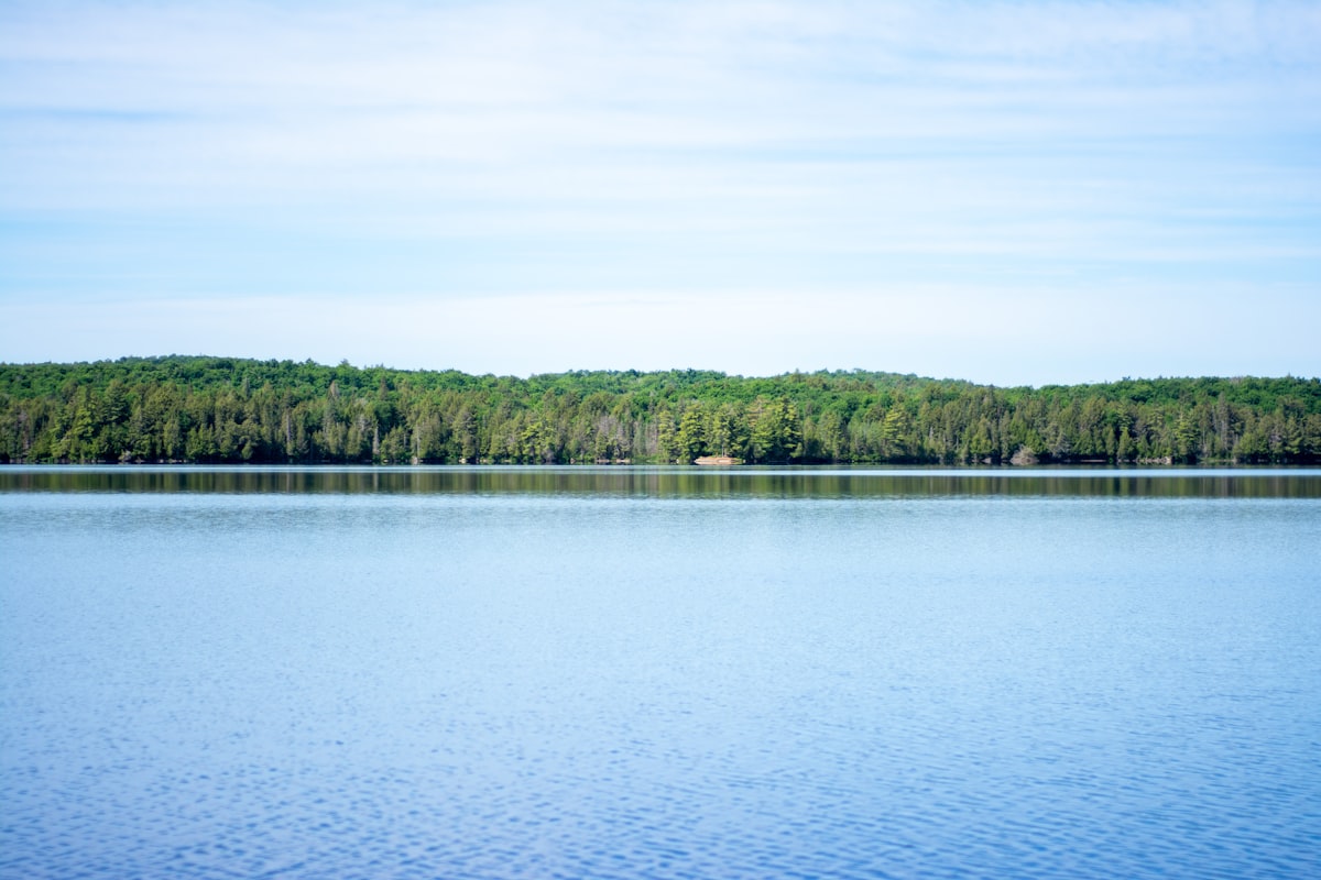 A calm lake surrounded by forest, Algonquin Provincial Park, Ontario
