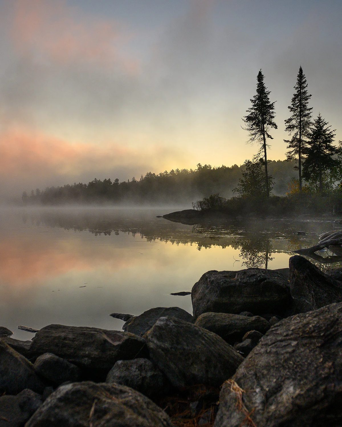 Mist rising from a still lake at first light, pines on the far shore, Algonquin Provincial Park, Ontario