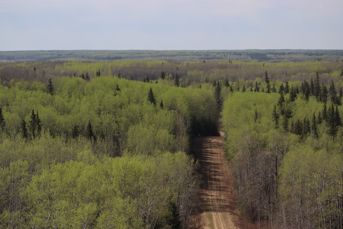 A quiet road through the boreal forest near Thunder Bay, Ontario