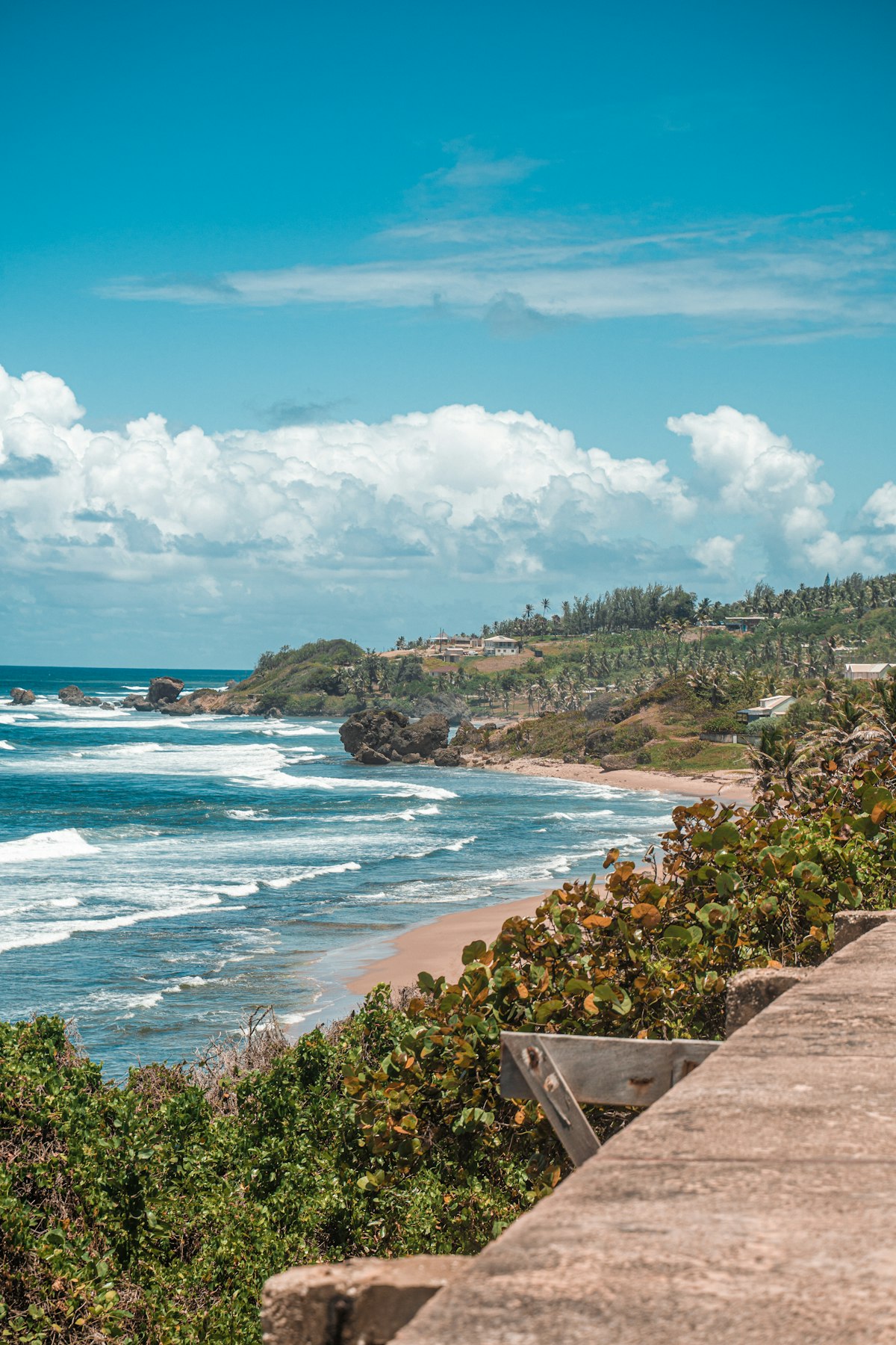A sheltered bay with a wooded headland, Barbados